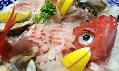 魚ラボ